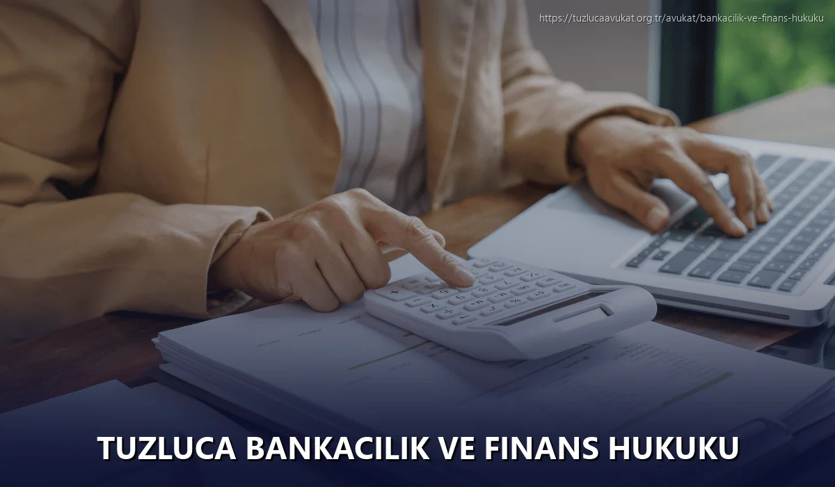 Tuzluca Bankacılık ve Finans Hukuku